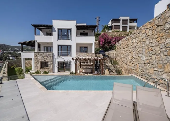 Villa Castle By Evtatilim *