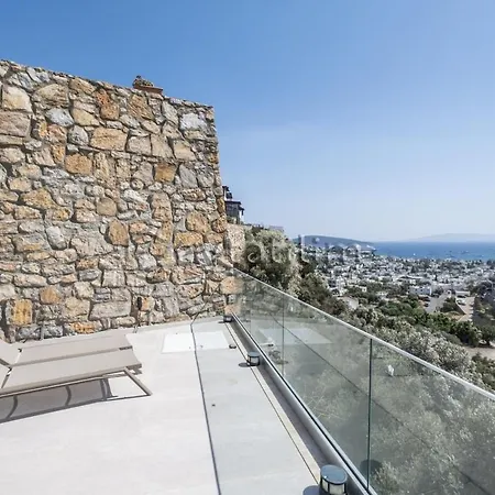 别墅 Castle By Evtatilim