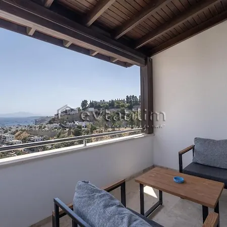 Castle By Evtatilim 别墅