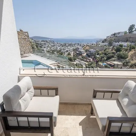 Βίλα Castle By Evtatilim *